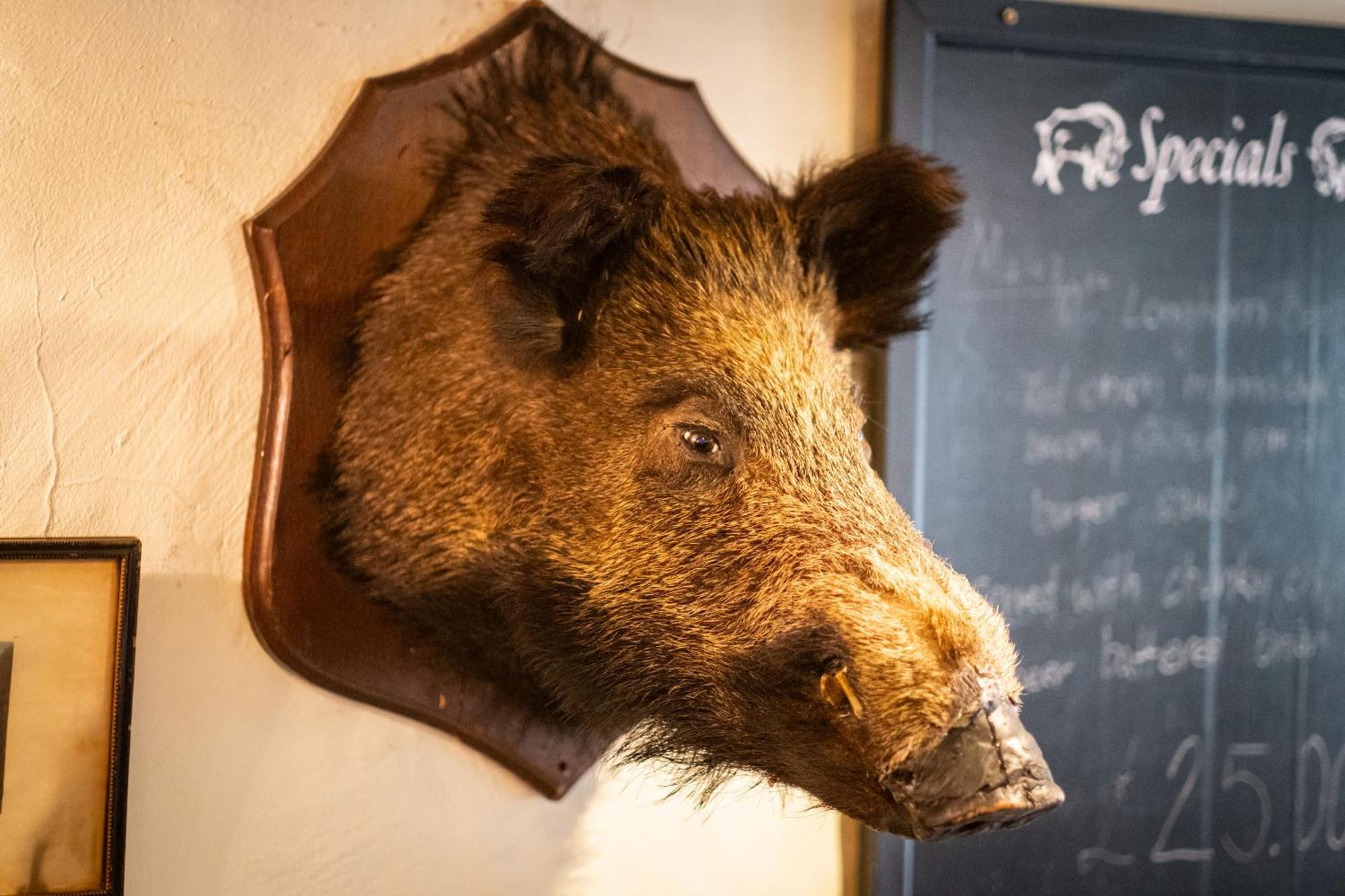 Wild Boar Estate